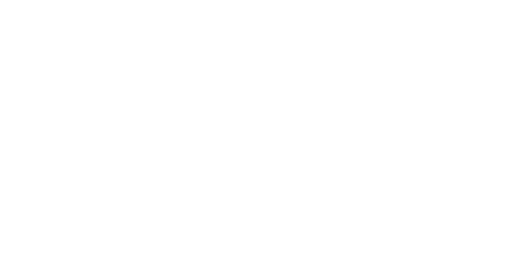 Logo nav